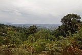 Ngorongoro Conservation Area